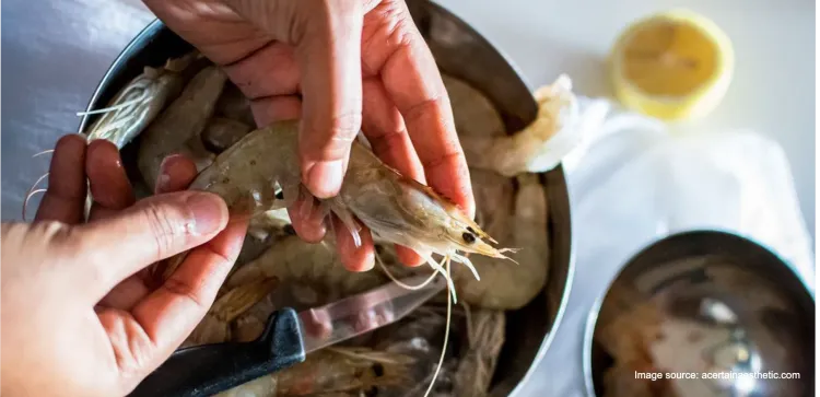 Manfaat Kepala Udang Bagi Kesehatan