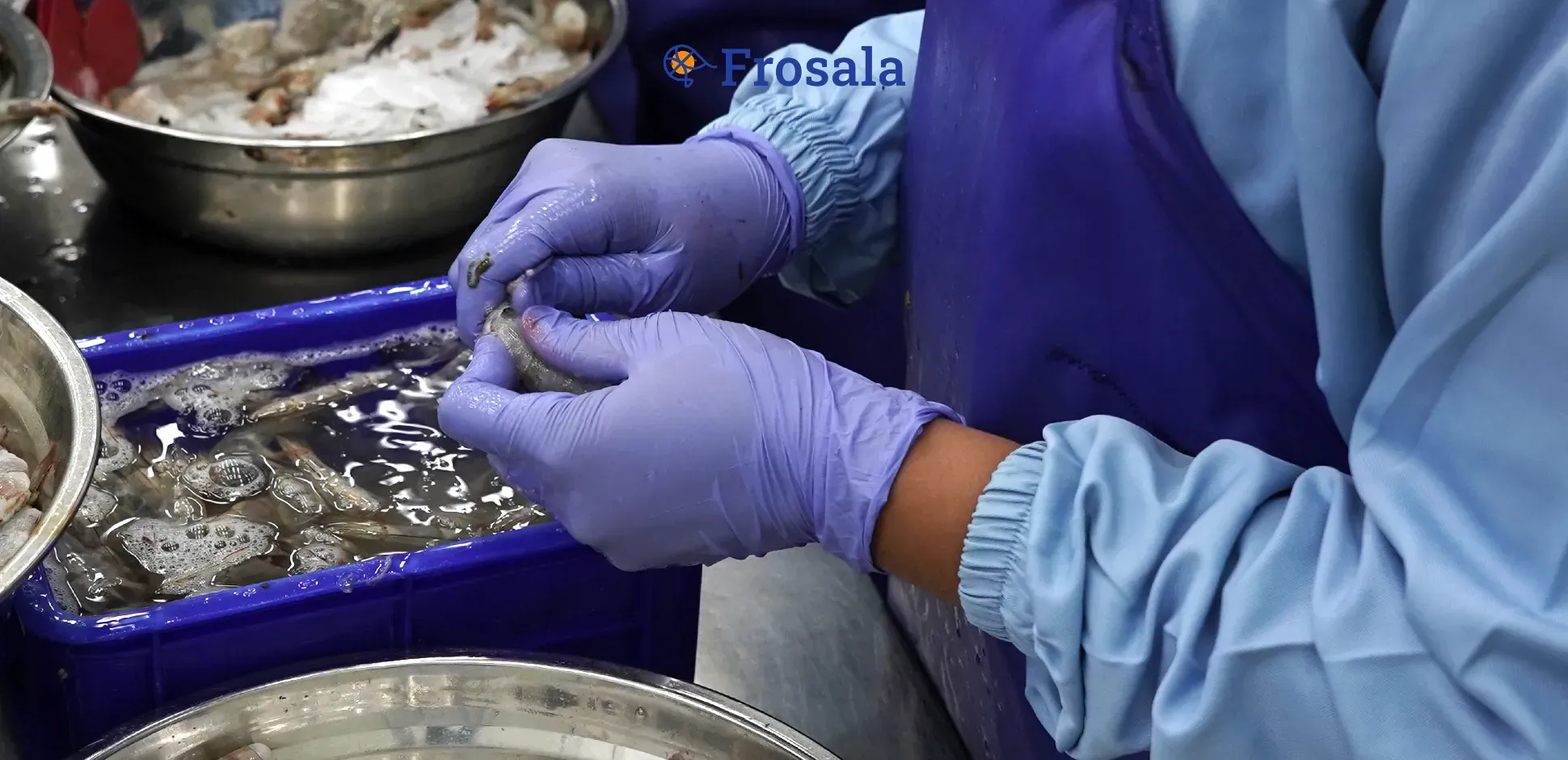 Cover Frosala Blog - Cara Membersihkan Udang Tanpa Membuang Kulit.webp