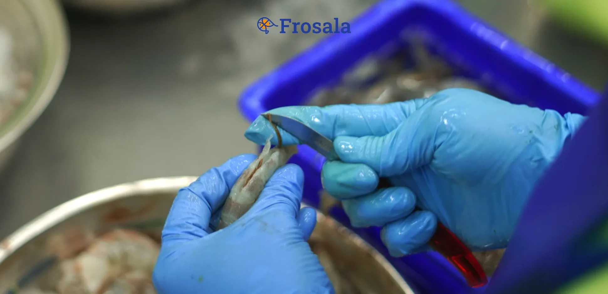 Cover Frosala Blog - Cara Membersihkan Udang.webp