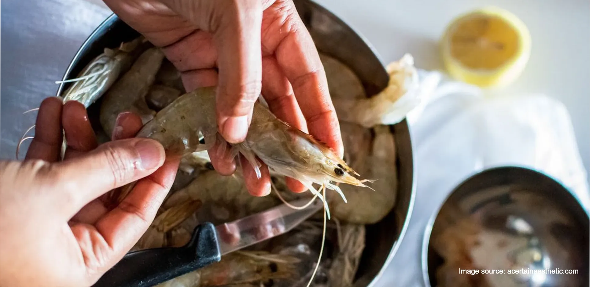 Cover Frosala Blog - Manfaat Kepala Udang.webp